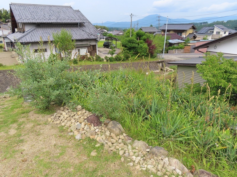 重厚感と鈍重_f0076731_21071861.jpg