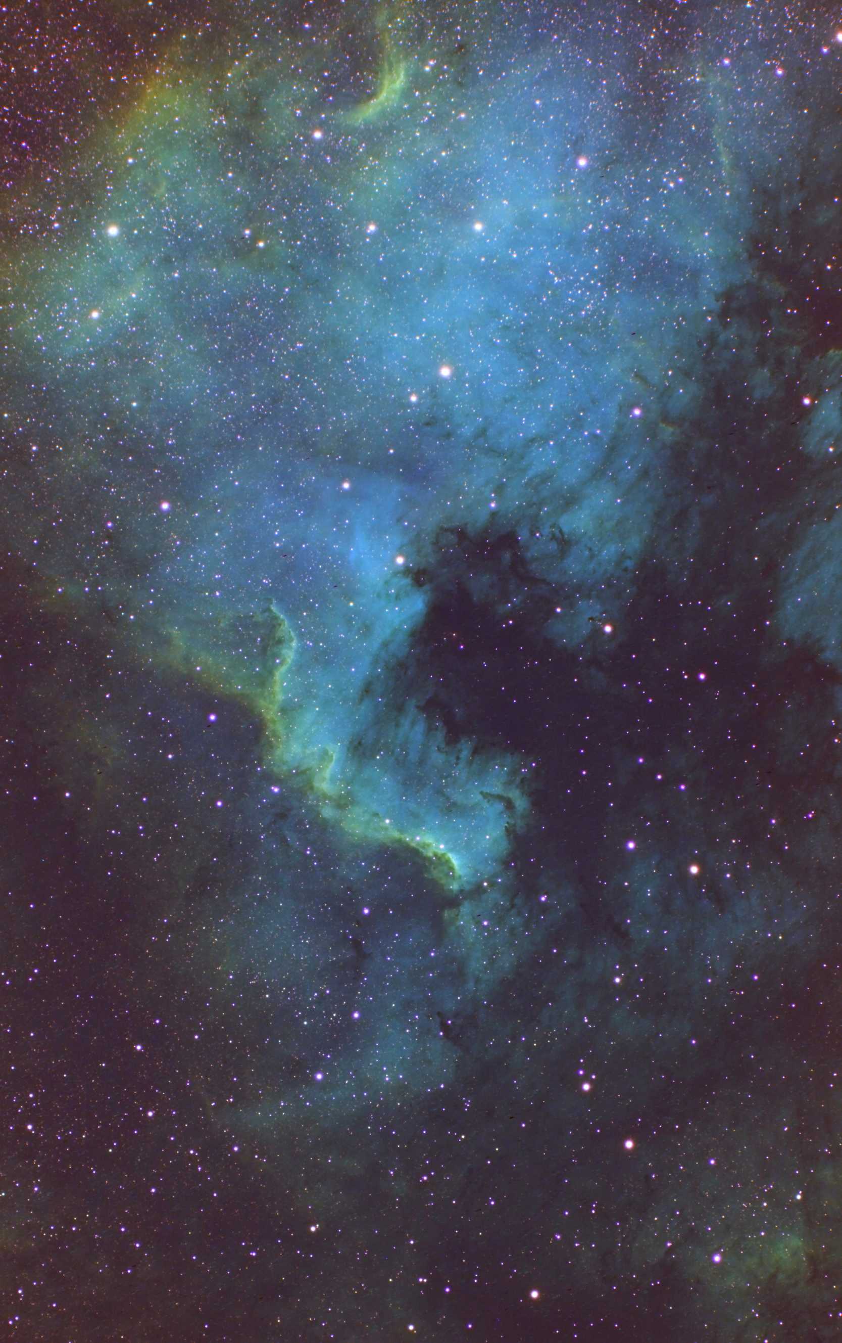 Cygnus Wall 北アメリカ星雲 天体写真投稿 Cygnus Wall 北アメリカ星雲 天体写真投稿