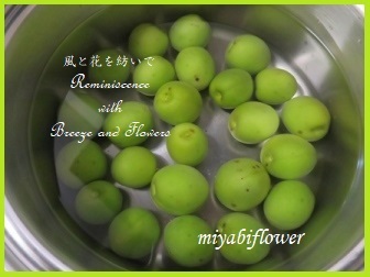 青梅の砂糖煮 2021_b0255144_00343787.jpg