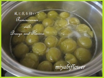 青梅の砂糖煮 2021_b0255144_00362194.jpg