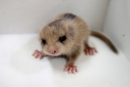 獲って良いもの　悪いもの_f0114346_07470165.jpg