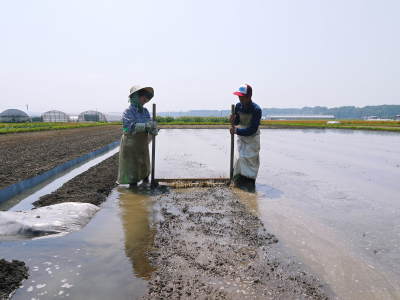 米作りの挑戦(2023) 田植え 今年は6月5日に田植えを終えました!昨年より5日早い田植えです!(前編)_a0254656_17552441.jpg