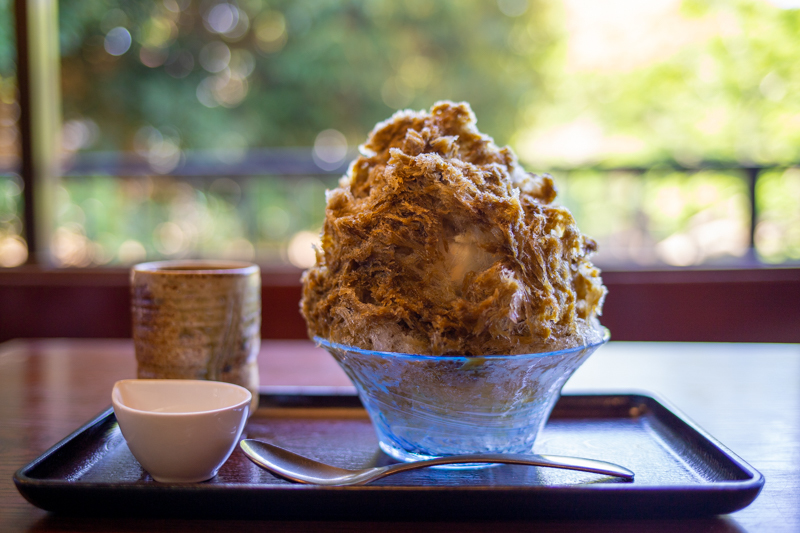 葉山 日の出園 うろ子とカメラ
