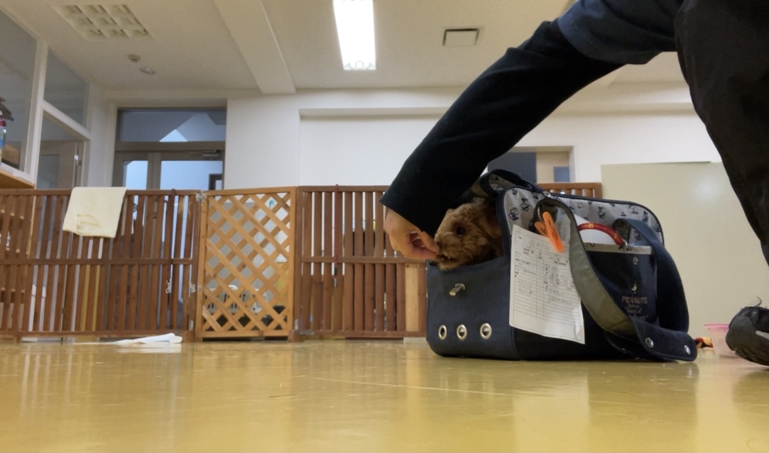 トレーニングブログ_f0357682_17120110.jpeg