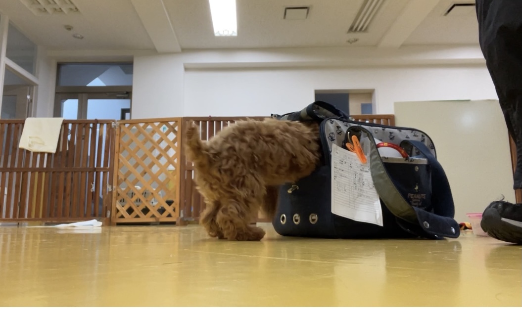 トレーニングブログ_f0357682_17191748.jpeg