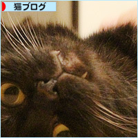 イレーネの結果_a0389088_10441115.jpg