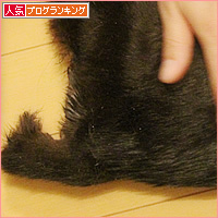 イレーネの結果_a0389088_10441163.jpg