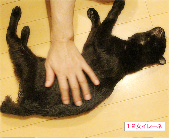 イレーネの結果_a0389088_10441189.jpg