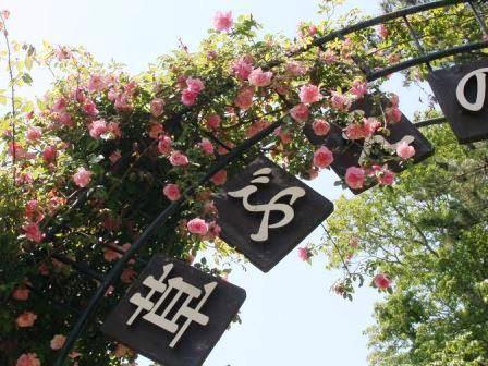 佐倉の草笛の丘 あたはママの素敵な日々