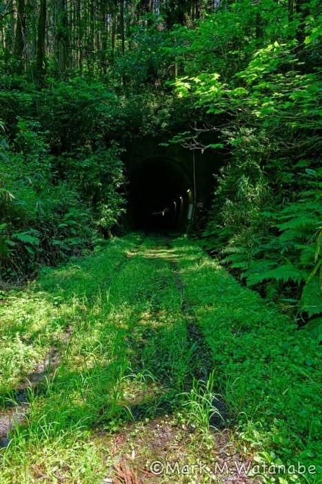 旧・国鉄宮原線トンネル跡_e0135098_07552841.jpg