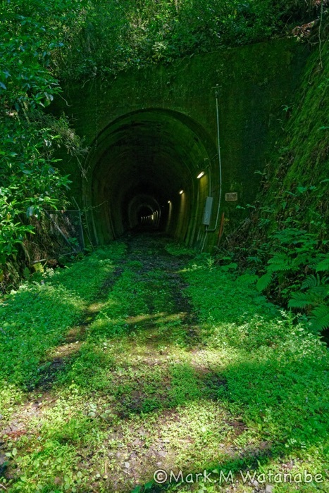 旧・国鉄宮原線トンネル跡_e0135098_07563279.jpg