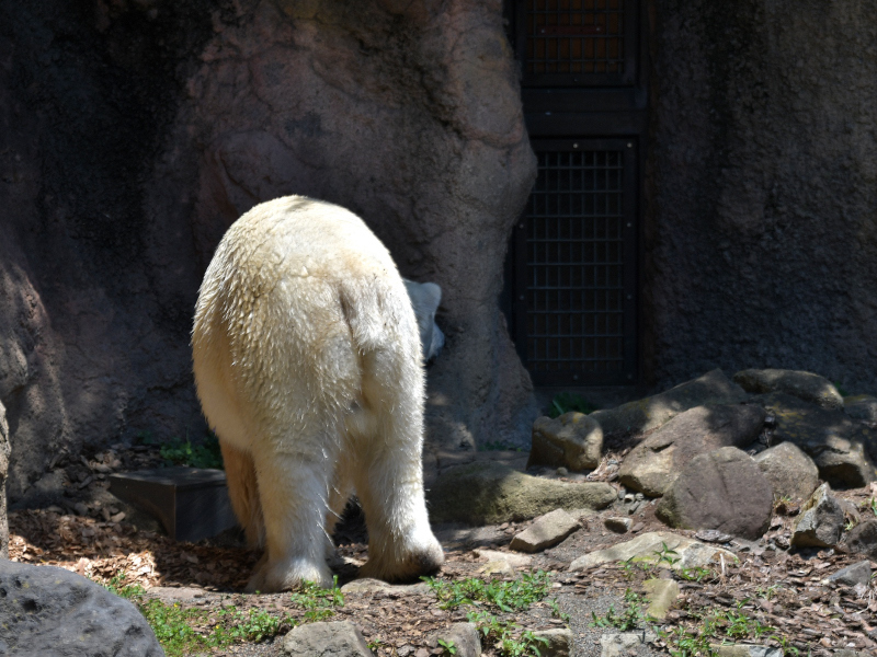 まだ知らない夏が来る_a0164204_09521097.jpg