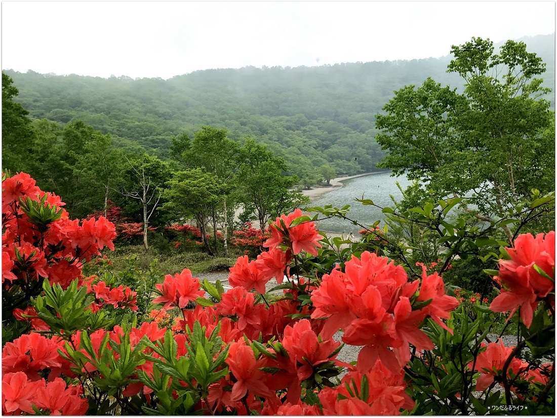 * 紅に染まる赤城山 *_d0317115_20450946.jpg