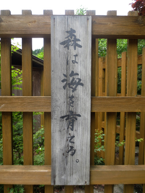 ■「森は海を育てる」──モミジと紫陽花の「環境芸術の森」(唐津市厳木町)_d0190217_22082683.jpg