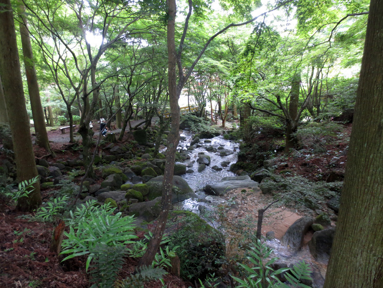 ■「森は海を育てる」──モミジと紫陽花の「環境芸術の森」(唐津市厳木町)_d0190217_22094096.jpg