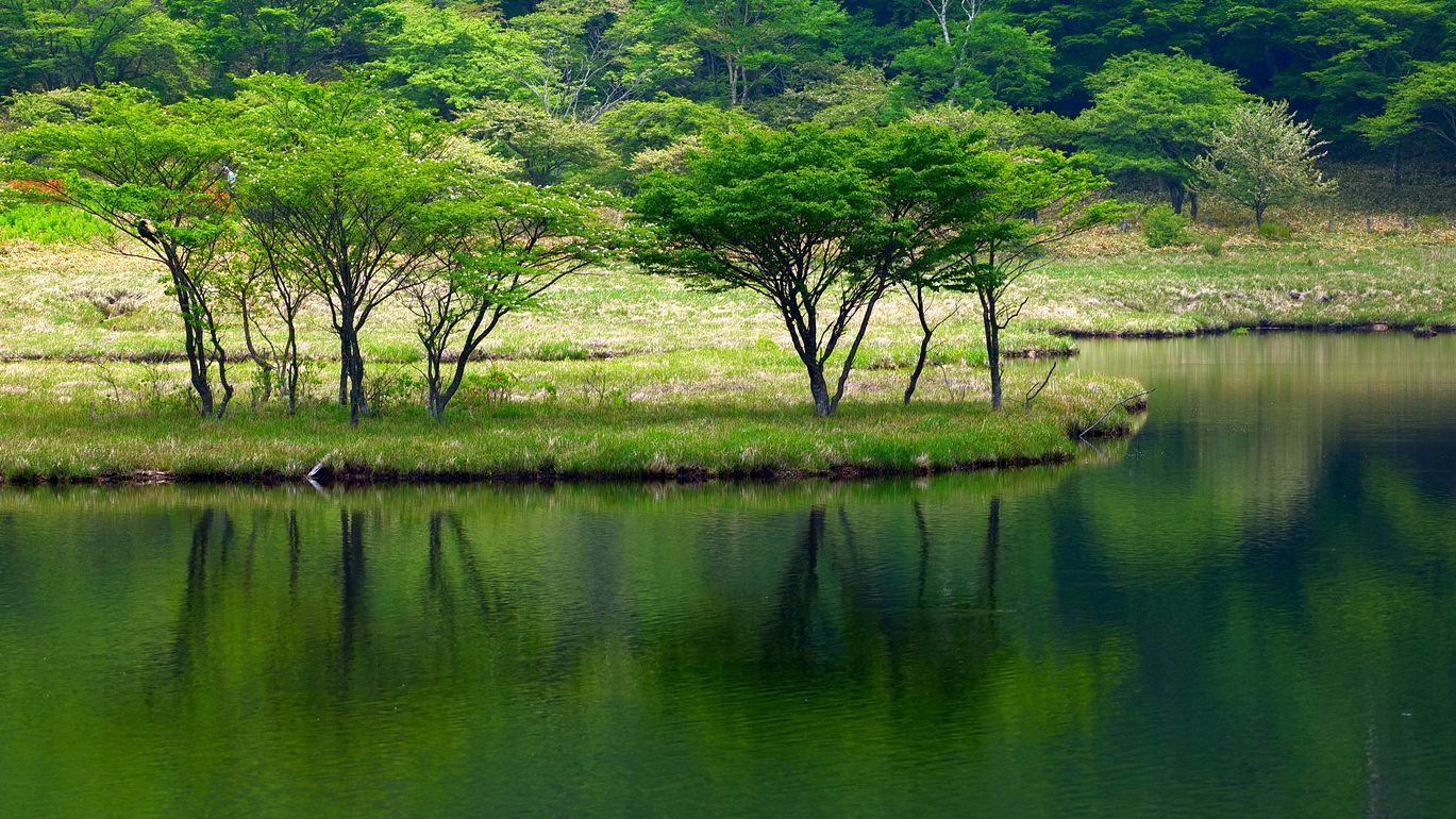 レンゲツツジと覚満渕と_a0031821_08363954.jpg