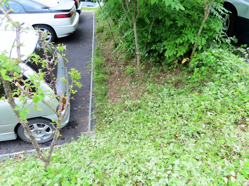 ジム通いを止めた_f0076731_19000163.jpg