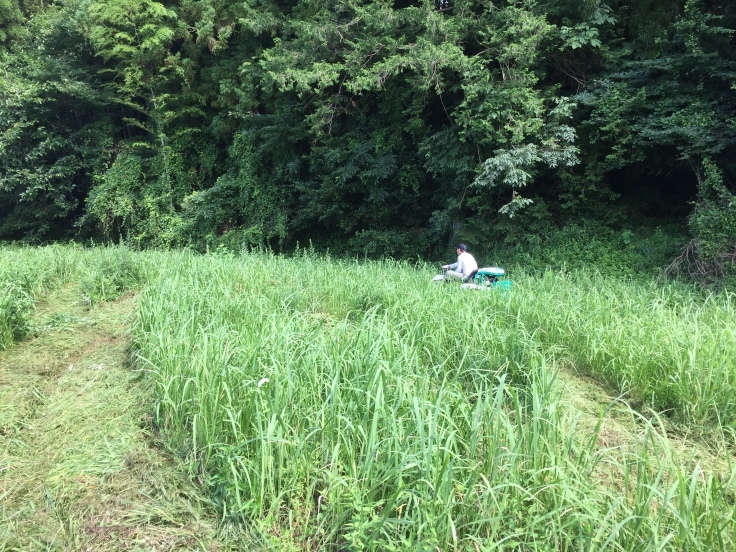 ジム通いを止めた_f0076731_21220804.jpg