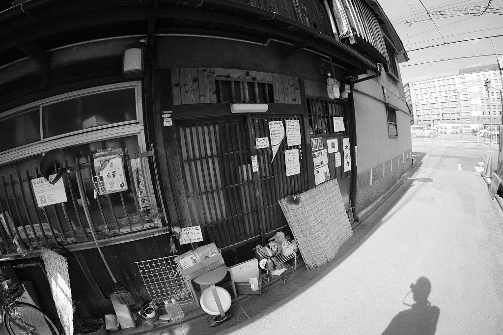 誰か僕に魚眼の使い方を教えて下さい 17_e0374932_07315178.jpg