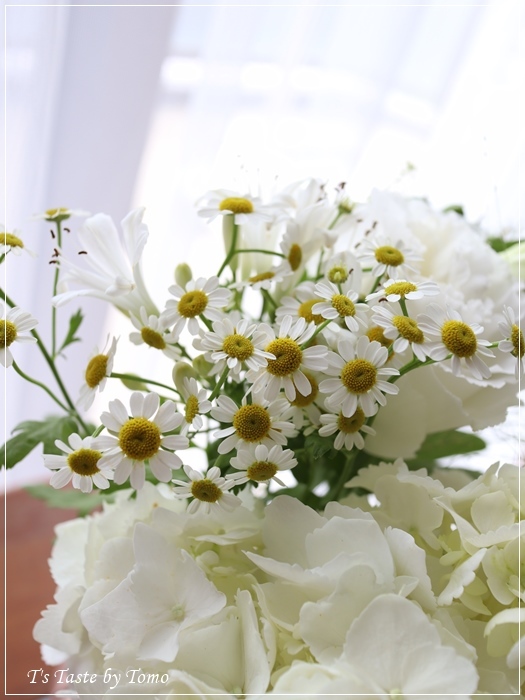 白い花が好き_f0329049_20173944.jpg