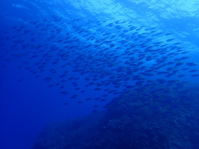 210613 なんというタイミング！_a0335173_17112882.jpg