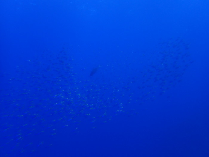 210613 なんというタイミング！_a0335173_17113359.jpg