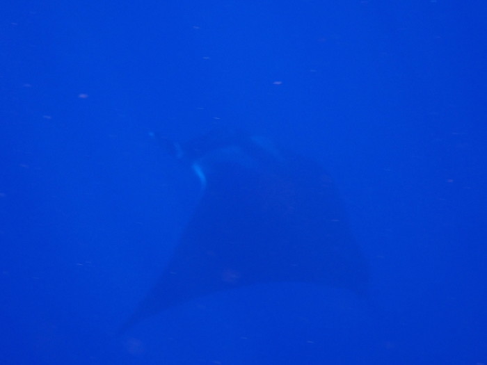 210613 なんというタイミング！_a0335173_17113860.jpg