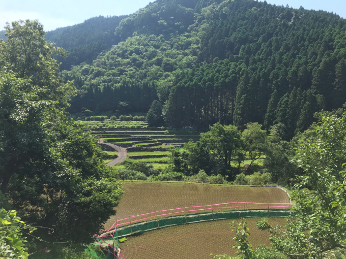 私的ブログ…教訓…ナビは使うべし…編^_^_d0132688_15400964.jpg