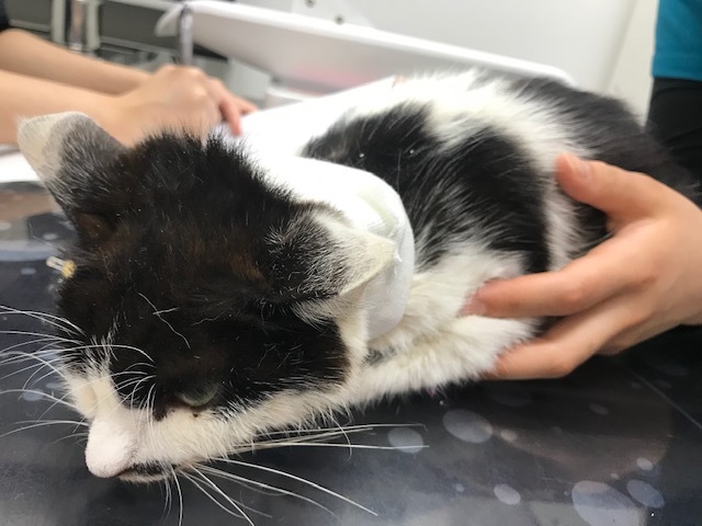 食道チューブで食事中 : 青空☆お日さま☆笑顔