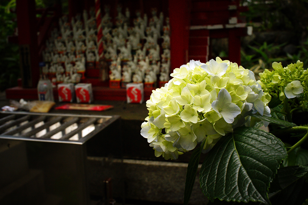 コロナ禍の日々［34］高幡不動の静かな神々_d0031605_12222621.jpg