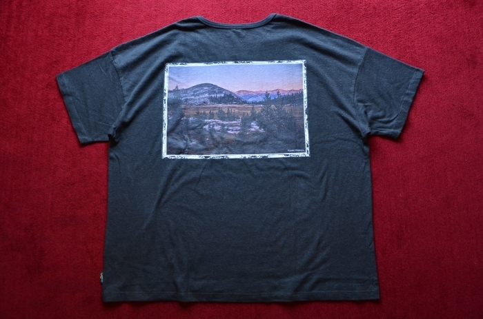 GO HEMPのTシャツが良いんです。_c0167336_22335053.jpg