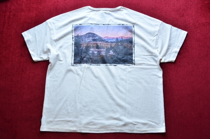 GO HEMPのTシャツが良いんです。_c0167336_22335717.jpg