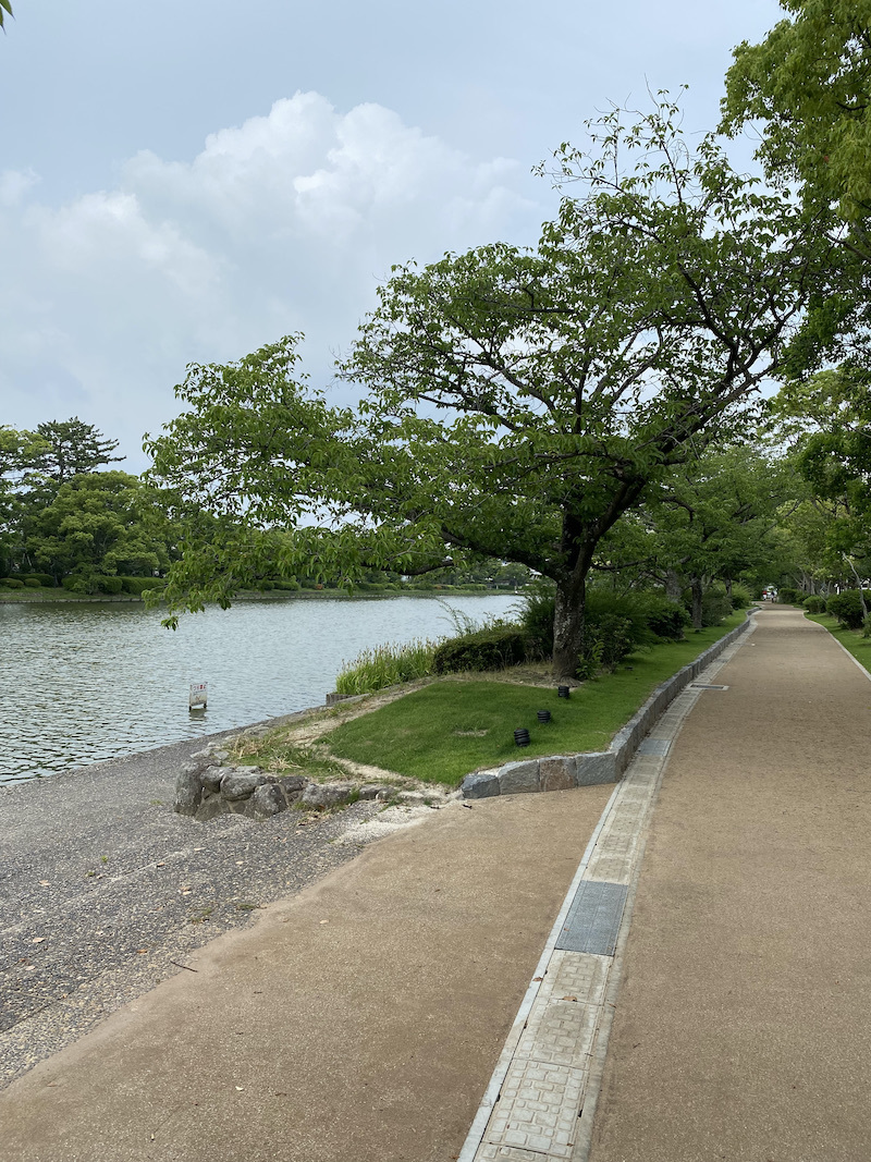 散歩道。_f0176239_17493533.jpeg