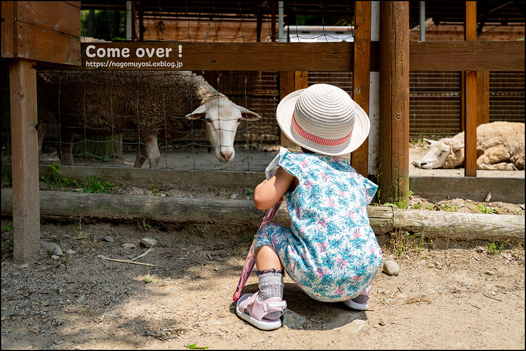 遊びにおいでよ_c0187744_19353928.jpg