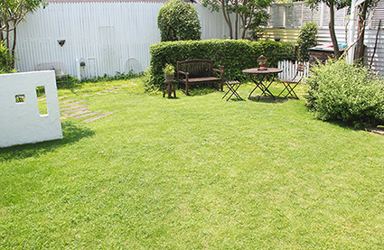 6月の芝生 Wall Studio