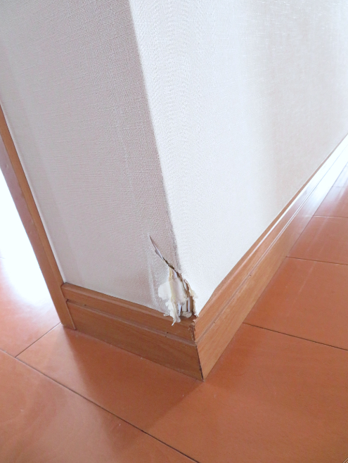 壁の『穴とキズ』の補修を承りました by interior styling of bright_c0157866_21535562.jpg
