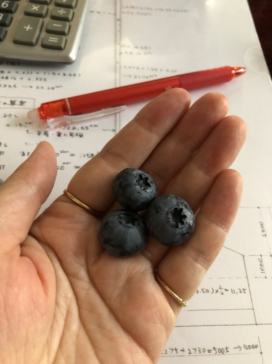 見沼の自然_a0129492_07244512.jpeg