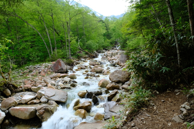一人登山 常念岳 蝶ヶ岳_e0000910_13193043.jpg