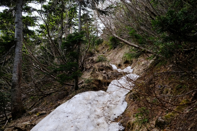 一人登山 常念岳 蝶ヶ岳_e0000910_13293851.jpg