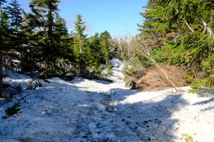 一人登山 常念岳 蝶ヶ岳_e0000910_14123043.jpg