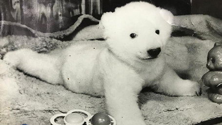 ロシア・ロストフ動物園のホッキョクグマ飼育・繁殖の歴史 ～  回想の「ユノナ (Юнона) の物語」_a0151913_17155355.jpg