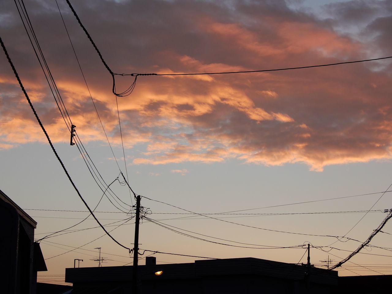 曇のち晴れのち雨のち晴れ_c0025115_21310266.jpg