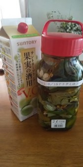 ドクダミ酒 ブランデーvo 作りました 気ままな和煦の筆すさび