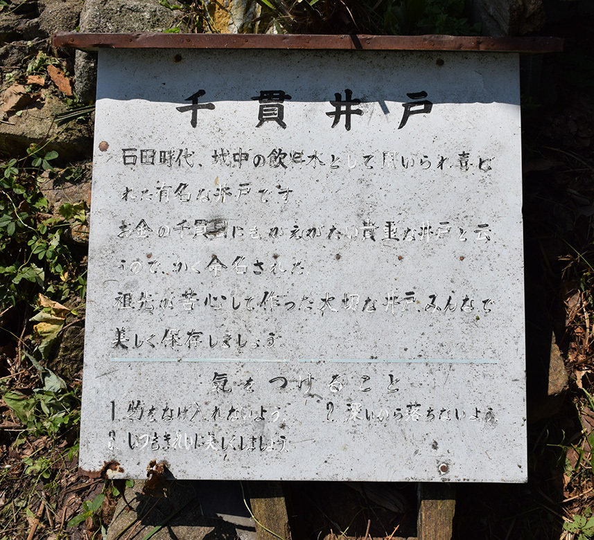 近江佐和山城攻城記。　その４　＜隅石垣、千貫井＞_e0158128_14493417.jpg