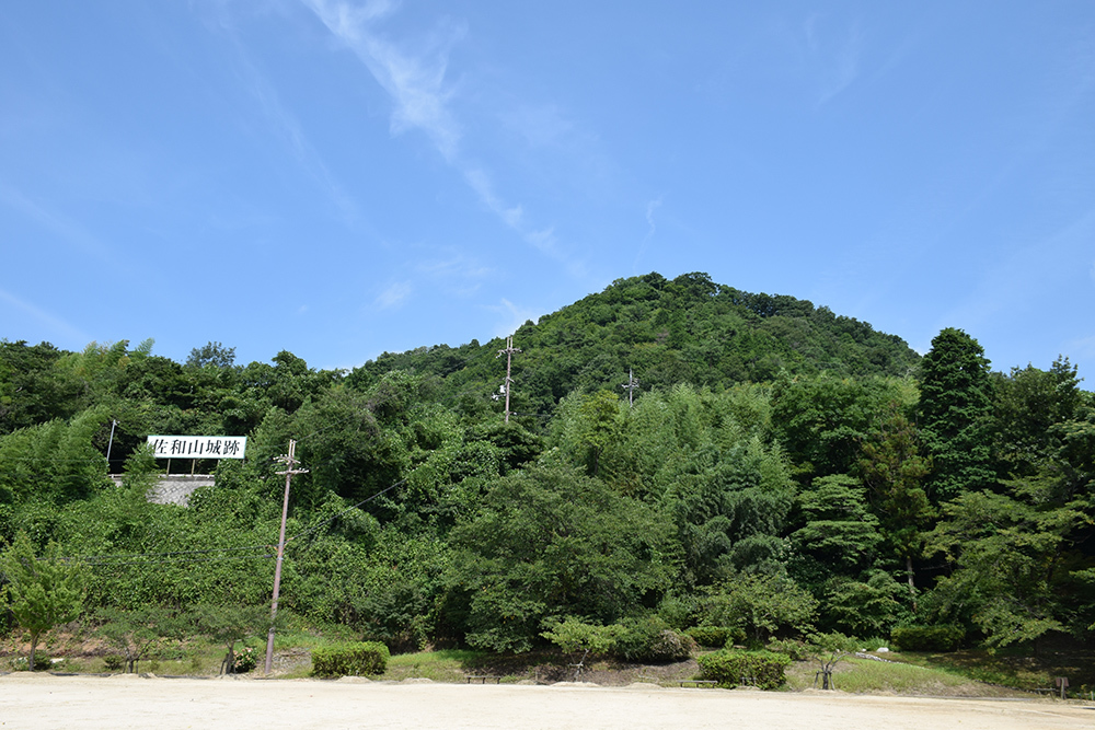近江佐和山城攻城記。 その5 <佐和山一夜城>_e0158128_15133083.jpg