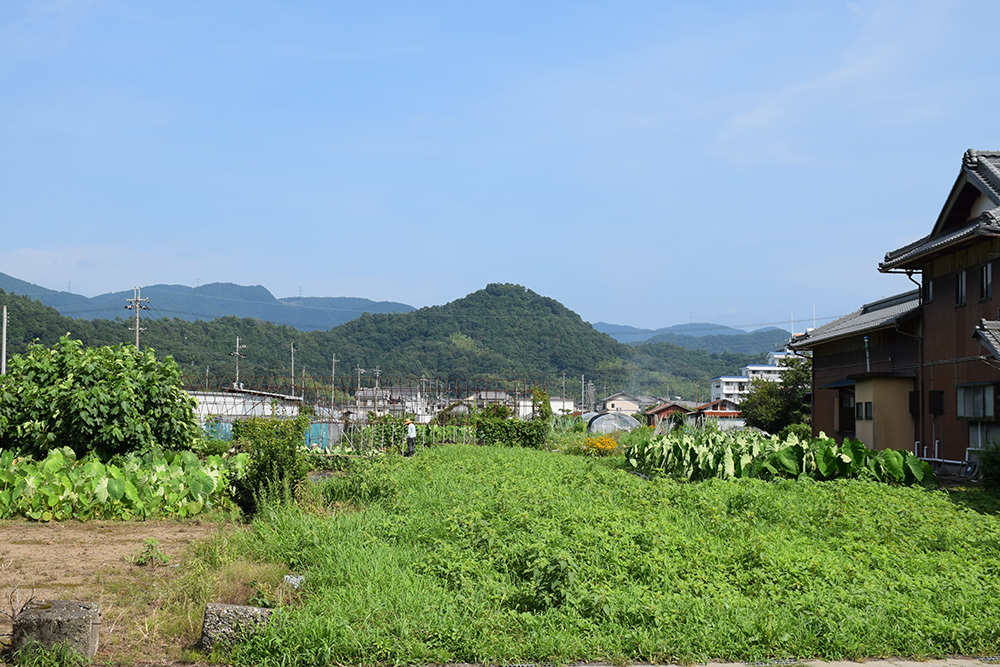 近江佐和山城攻城記。 その5 <佐和山一夜城>_e0158128_15194665.jpg
