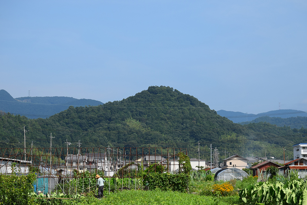 近江佐和山城攻城記。 その5 <佐和山一夜城>_e0158128_15195051.jpg