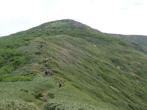 平標山と仙ノ倉山　お花畑を見たくて_e0305253_10463293.jpg