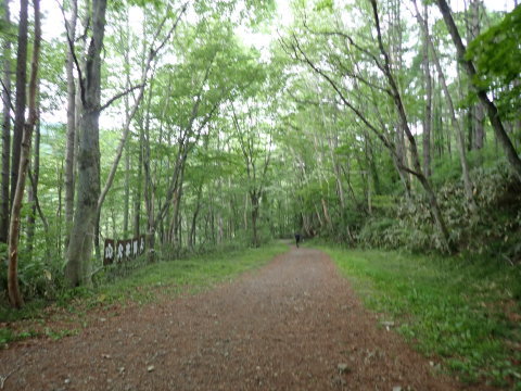 平標山と仙ノ倉山　お花畑を見たくて_e0305253_10511483.jpg