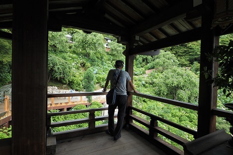 アジサイの咲くお寺　　善峯寺_c0303868_06370751.jpg